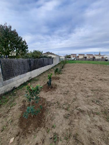 Création espace vert, Montech