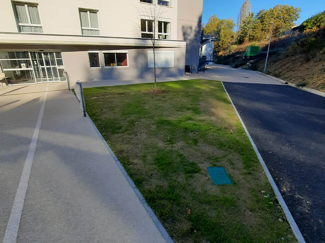 Taille de haies Montech